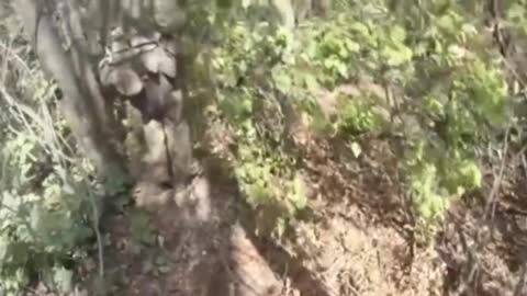 Dynamic footage of the work of Lugansk scouts to detect enemy positions near Soledar.