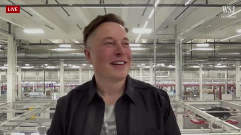 Elon Musk talks AI, and innovation: Low birth rate is biggest risk to civilization