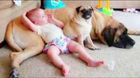 Cute Babies and Dogs are Best Friends