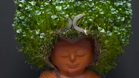 Chia Pet _2 - Monkey King _timelapse _amazingtube