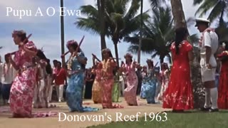 Donnavans Reef Movie intro