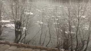 People Floating on Ice in a River