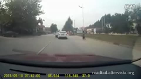 German shepheard stop motorist