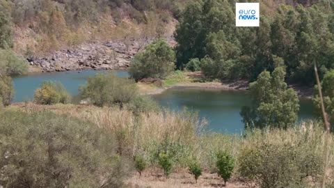 Italian island of Sardinia declares state of emergency after persistent drought | N-Now ✅