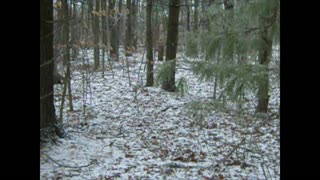 CAMP HACKS - KNOW YOUR AREA 104 - DEER OUTHOUSE