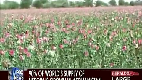 American military guarding Poppy Fields in Afghanistan