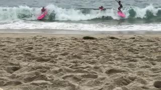 Three surfers pink surfboards fall off get knocked out by wave beach sand water