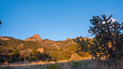 Albuquerque, New Mexico