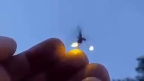 Illuminating Lightning Bug...fire flie