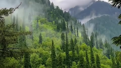 Northern Area's Pakistan