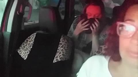 Drunk Passenger Attacks Lyft Driver