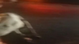 Video: Una persona muerta tras el choque de una buseta contra una vaca en el Magdalena Medio