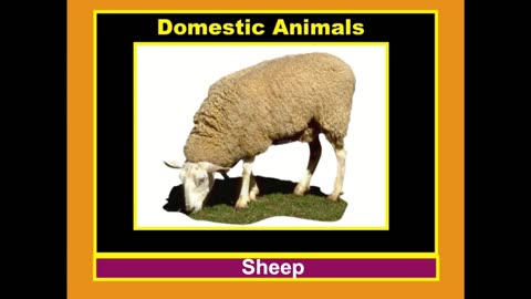 DOMESTIC ANIMALS | Learn Domestic Animals Sounds and Names For Children, Kids And Toddlers