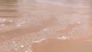 Heavy Rains Cause Intense Flooding in Outback Australia
