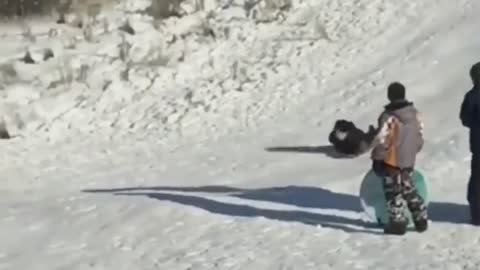 Face Meets Snow in Slow Motion Sledding