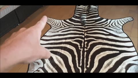 Zebra Skin Rug Hide Carpet