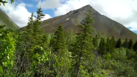 Season 1 ,episode 1 part 2 Prospecting in the Alaska mountain range