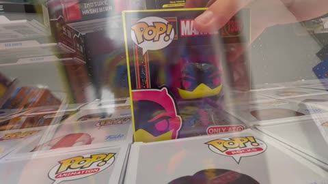 SHORT RANDOM FUNKO FIG HUNt