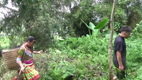 Primitive Life Brave Girl Catch The Giant Python Annaconda by hand - skills Catch Big Python