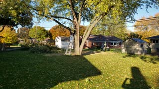 Drunk Neighbor Falls Down Cutting Limb Off Tree