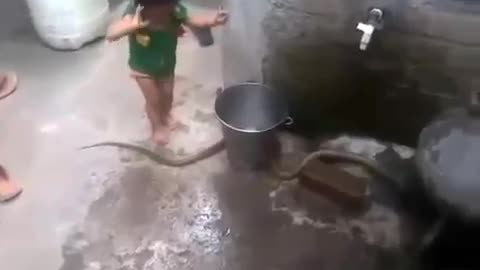 KID PLAYING WITH SNAKE