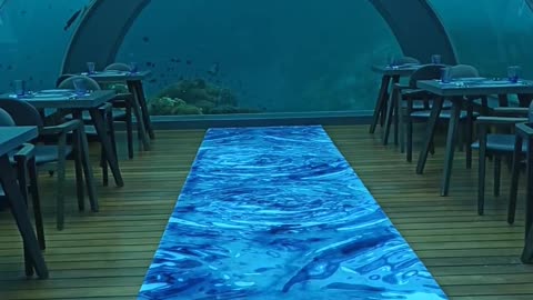 Watch this undersea restaurant