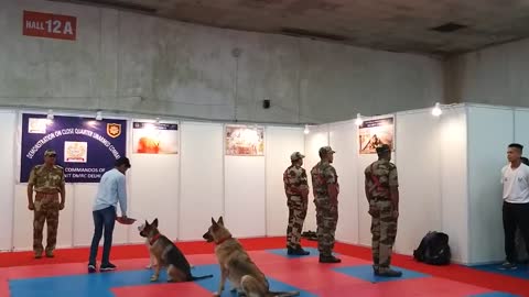 INDIAN ARMY DOG TRAINING AND FUNN