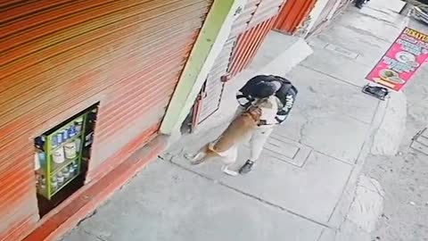 Doggy cuddle! Moment neighbour's pooch rushes to hug shopkeeper when he turns up for work as CCTV