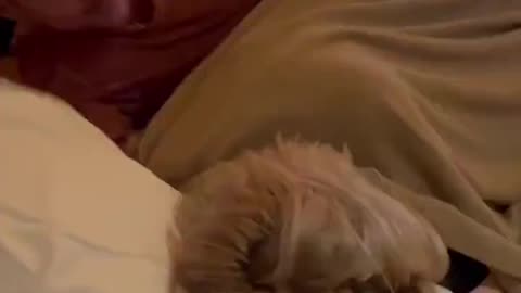 Diplo trolling xQc when he passed out after 1 beer at his party