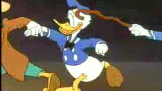 The Spirit Of 43 Donald Duck