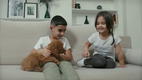 Psychologist gives tips on how to talk to children about the loss of a pet.