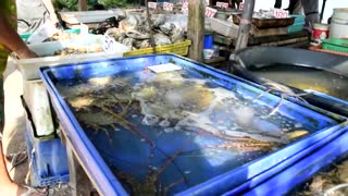 Seafood Market Phuket, Thailand