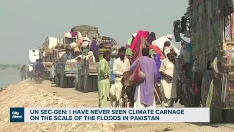 Food shortage fears in flood-hit Pakistan