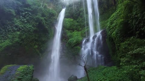 Chasing Waterfalls: The Thrill of Exploring Mountain Forest Cascades"
