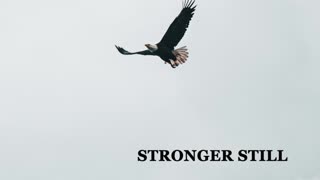 Pray USA, 12/17/22 Stronger Still