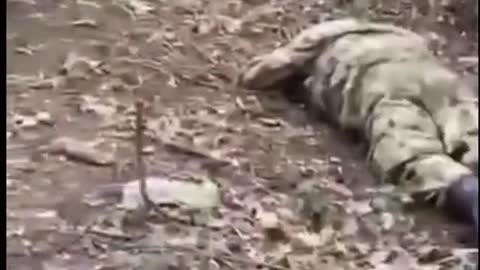 Azov Nazis Executing Russian soldiers GRAPHIC