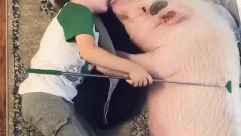 Childhood friendship is very simple#foryou #animal #PINKHolidayRemix #funny #pig #child #childhood