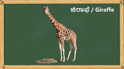 Animals in Kannada | Animal name sound in Kannada and English