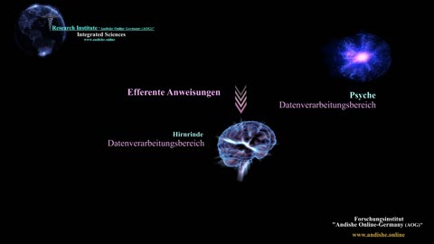 Wie funktioniert der menschliche Intellekt?