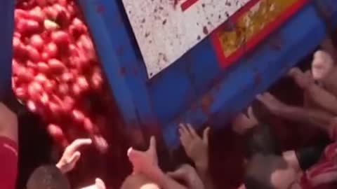 Spain's Tomato Throwing Festival is Back!