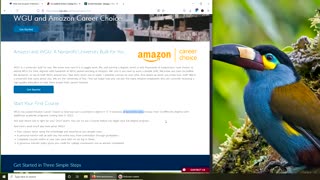 WGU 100% Free by Amazon Career Choice