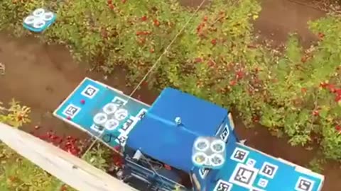 Robotic Drones Harvesting Apples