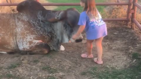 Daughter And Bull Are Best Friends