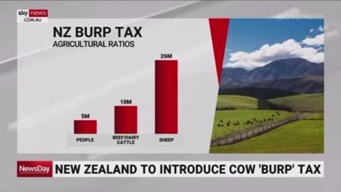New Zealand to Introduce Cow ‘Burp’ Tax to Tackle “Climate Change”
