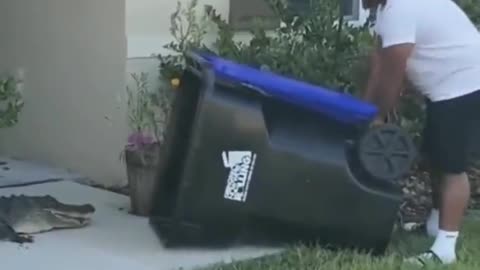 FLORIDA MAN FIGHTS OFF ALLIGATOR WITH TRASH CAN 🤣