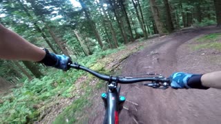 Forest of Dean - Endo Trail - FOD - 02 09 23