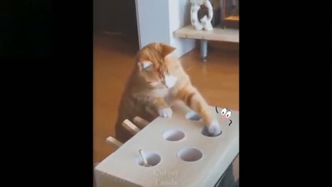 😂 FUNNIEST CATS 🐺 AND DOGS 🐕 _ Awesome Funny Pet Animals Videos 🐹