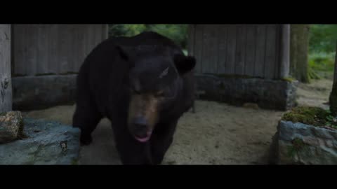 Cocaine Bear 2023 Full Trailer