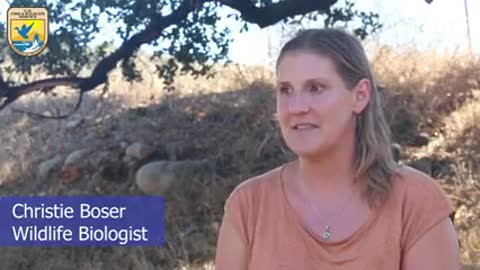 Christie Boser - Women in Science_1