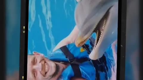 Lee o'c with friends and dolphin